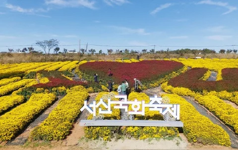 서산국화축제, 서산 해미읍성 축제, 충남 서산 축제, 서산 감자축제, 충남 방문의 해, 서산 6쪽마늘축제, 서산 우럭축제, 서산 어리굴젓축제, 지역축제 운영, 축제심의위원회