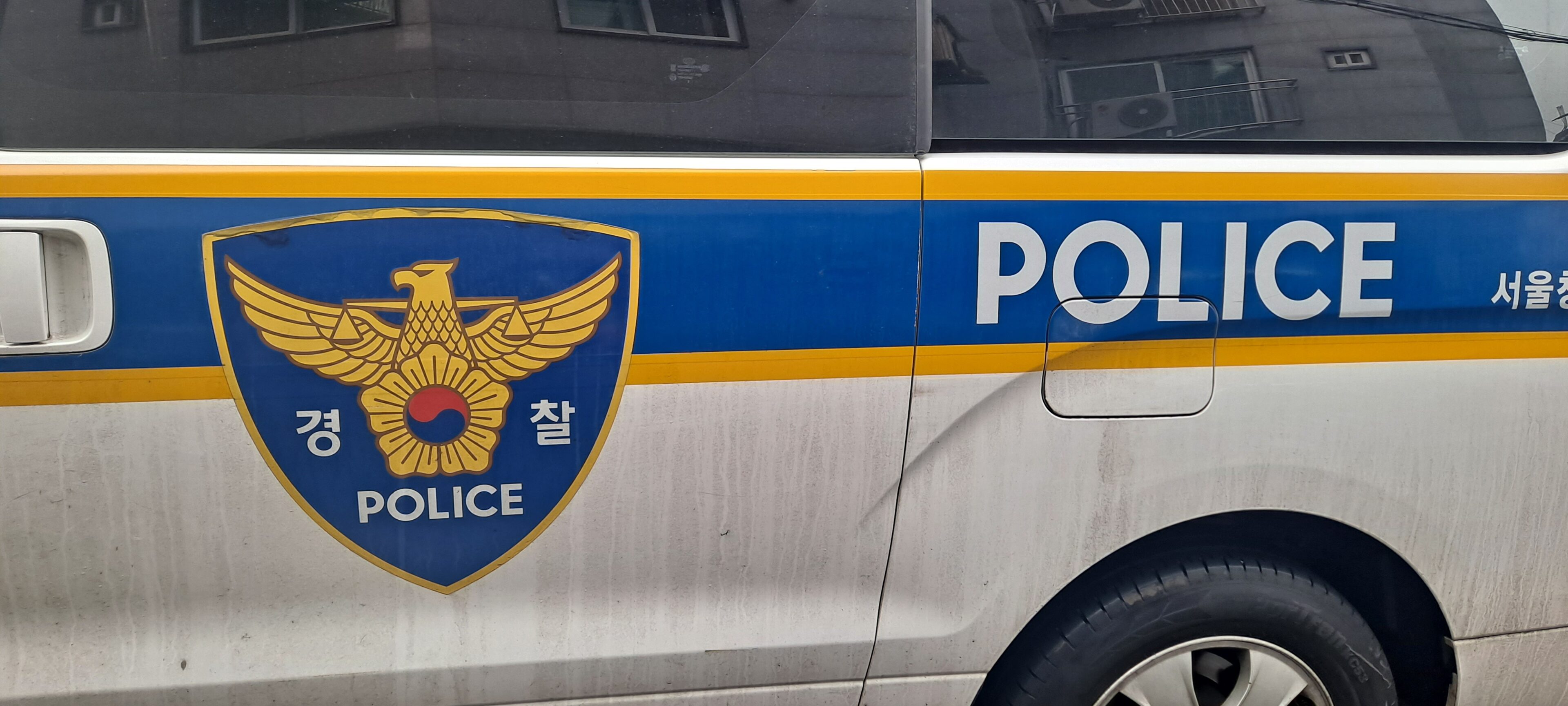 진해 돌폭행 사건, 50대 남성 특수상해, 창원시 폭행 사건, 만취 폭행, 행인 폭행