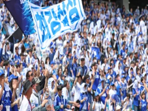 삼성 대구 평균 관중