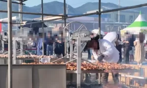 위생 검사 없는 바비큐 도구 사용…더본코리아 협력업체 행정처분