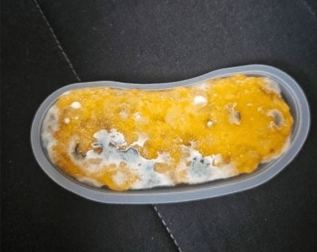 빽다방