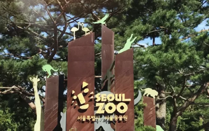 서울대공원 동물원