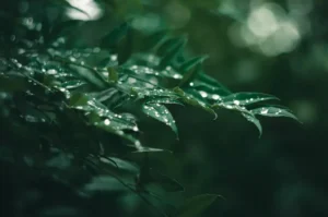 [날씨] 주말 날씨 주의보, 24일 흐리고 토요일 전국 비 예보