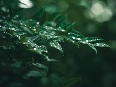 날씨