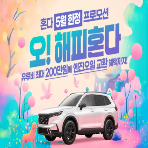 혼다코리아 5월