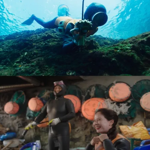 송지효 제주