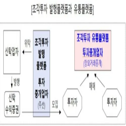 비상장주식 조각투자