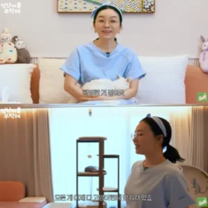 김정난, 여섯 고양이와 사는 골드 싱글 라이프의 여유
