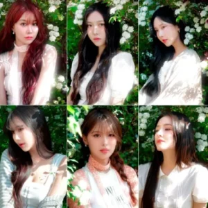 모모랜드, 전원 재결합… 완전체로 화려한 컴백