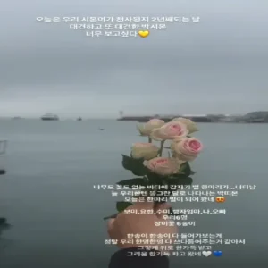 박보미, 하늘나라로 떠난 아들 시몬 2주기 “장미꽃에 머문 한 마리 벌, 너였구나…”