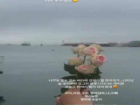 박보미 아들