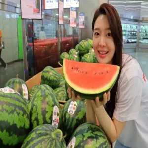 롯데마트, AI 선별 수박 포함 ‘수박 페스티벌’ 개최