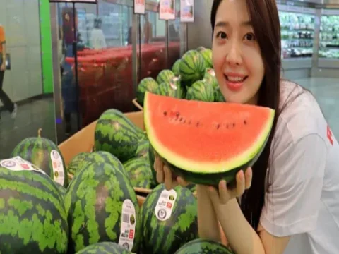 롯데마트 수박