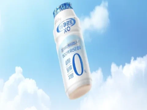 HY 무당 발효유 야쿠르트XO