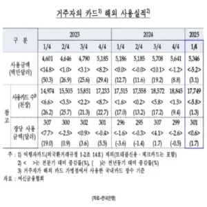 1분기 국내 거주자, 해외 카드 사용금액 53억달러…역대 최대치 기록