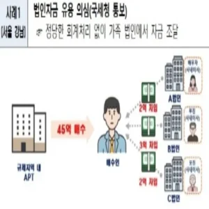 국토부, 서울 주택 이상거래 108건 적발…법인자금 유용·편법증여 다수