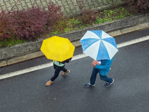 9일 전국 날씨, 제주 호우, 남해안 강풍, 5월 9일 비 예보, 기상청 발표, 전국 비 소식, 기온 하락, 강수량 예보, 호우 피해 주의, 남서쪽 비구름