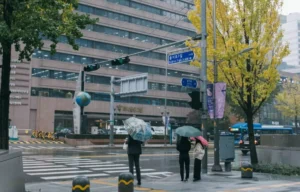 [날씨] 전국 비로 더위 주춤…16일 제주·남부 중심 강한 비