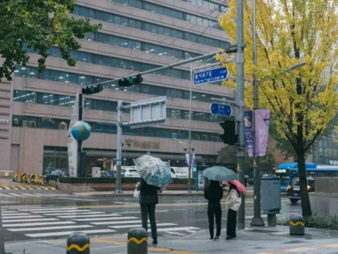 5월 15일 날씨, 5월 16일 날씨, 전국 비 예보, 제주도 집중호우, 남부지방 비, 중부 소나기, 기상청 발표, 기온 변화, 천둥번개, 미세먼지