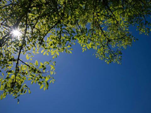 5월 7일 날씨, 기상청 예보, 전국 맑음, 남부 내륙 안개, 일교차 큰 날씨, 아침 기온, 낮 최고기온, 미세먼지 농도, 교통안전, 봄철 건강관리