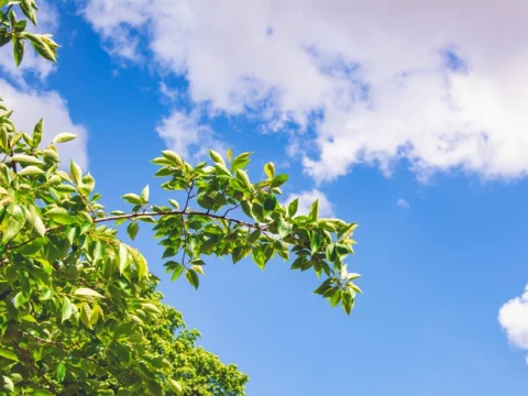 14일 날씨, 자외선 지수, 오존 농도, 초여름 기온, 일교차, 미세먼지, 기온 예보, 주요 도시 기온, 강풍, 바다 물결