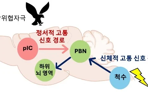 공포 기억 회로, 정서적 고통