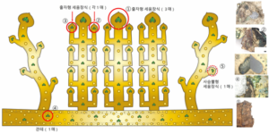 신라 금동관서 첫 비단벌레 장식…왕족 상징 가능성 주목