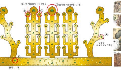 황남동 고분에서 출토된 신라 금동관 유물에서 비단벌레 장식이 발견되었다.