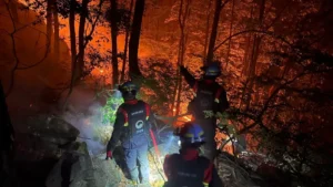 산불진화대 못 받는 산림청 산불 수당…현장 노동자 배제