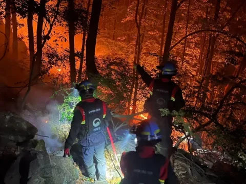 산불진화대 차별, 산림청 특수직무수당