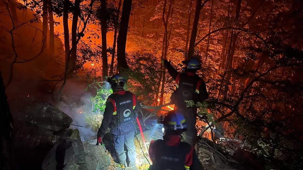 산불진화대 차별, 산림청 특수직무수당