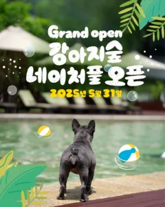 강아지숲 ‘네이처풀’, 반려견 수영장 5월 31일 개장