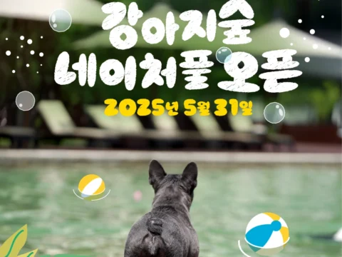 강아지숲 ‘네이처풀’, 반려견 수영장 5월 31일 개장