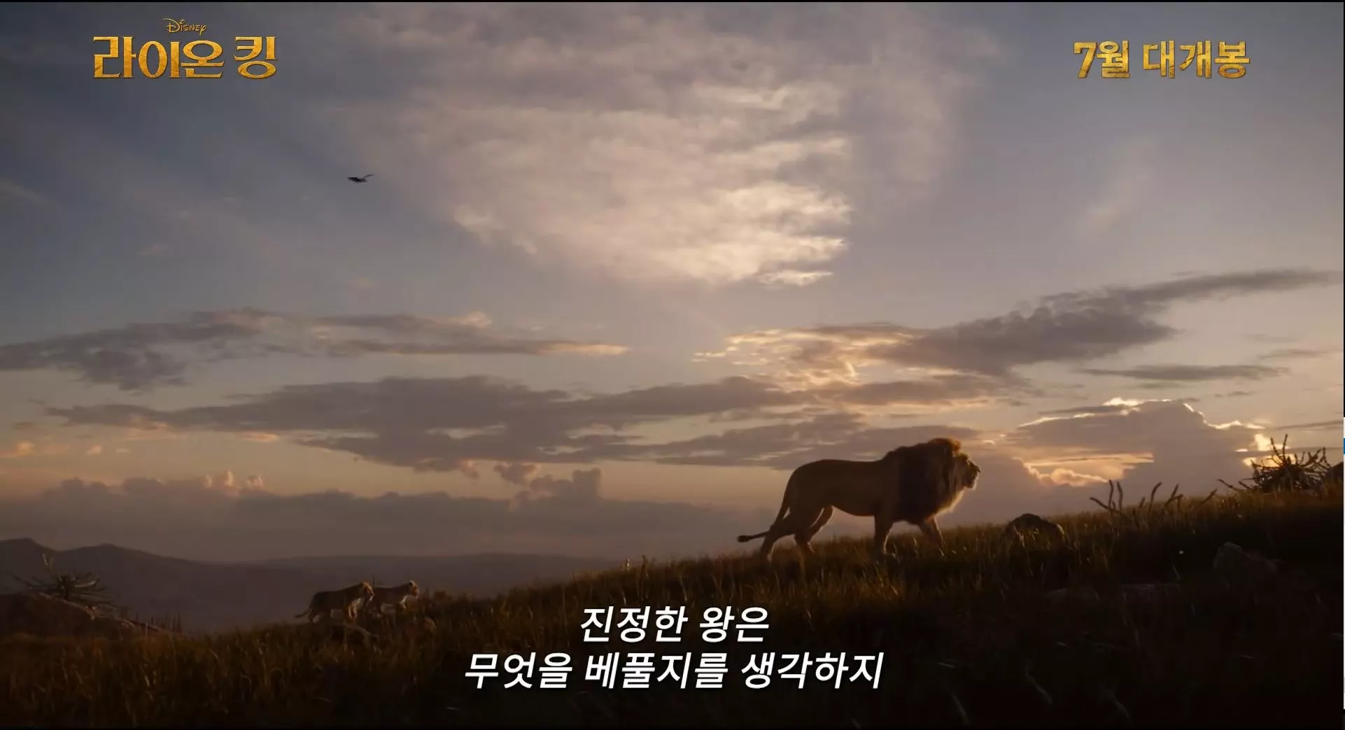 라이온 킹은 실사화 영화처럼 보이지만, 전적으로 CG로 제작된 작품이다.