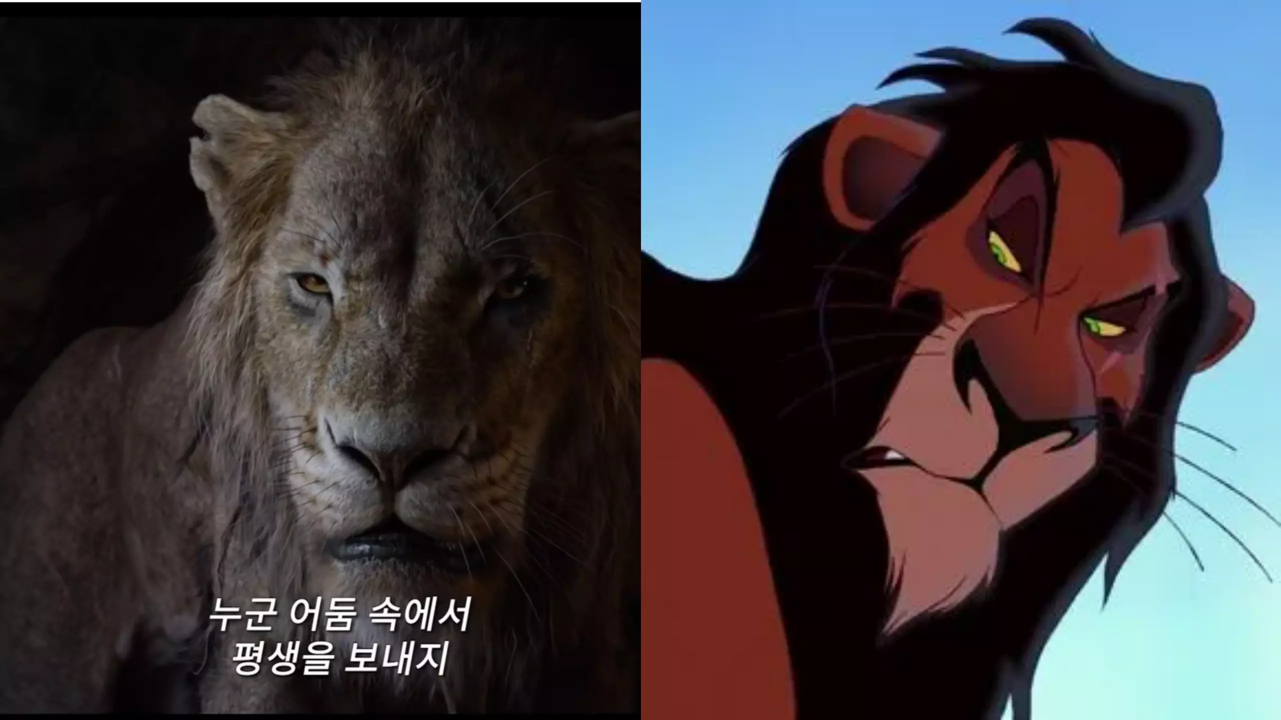 영화는 너무 리얼리즘에 집중한 나머지 케릭터들의 표정 묘사등이 부족하여 관객의 감정 이입이 어렵다는 비판이 나왔다.