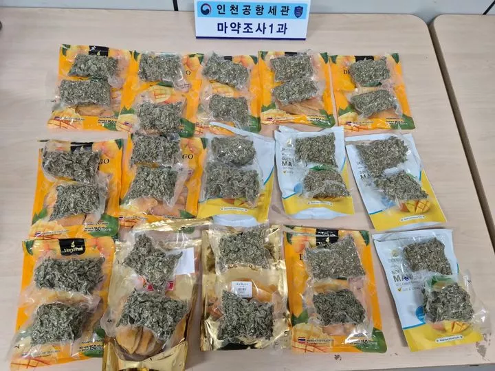 인천공항 대마 밀수, 태국인 대마초 적발, 건망고 대마 밀수, 인천공항세관, 대마 밀반입 적발, 마약류관리법 위반, 태국 대마 합법화, 대마초 밀수 적발, 관세청 마약 단속, 마약류 밀반입 사례