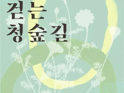 청와대 산림치유, 느리게 걷는 청숲길, 청와대 산책로 프로그램, 싱잉볼 명상, 청와대재단