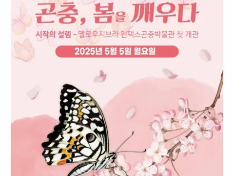 킨텍스 곤충박물관, 옐로우지브라 개관, 어린이날 체험, 생태 체험형 전시, 두점박이사슴벌레, 곤충 정서 프로그램, 가족 체험 공간, 도슨트 해설 프로그램, 곤충 표본 전시, 장수풍뎅이 애벌레 이벤트