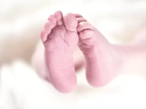 출산율