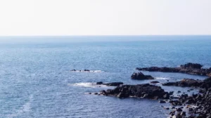 제주 해수욕장 본격 개장, 파라솔 이용료 2만원 유지
