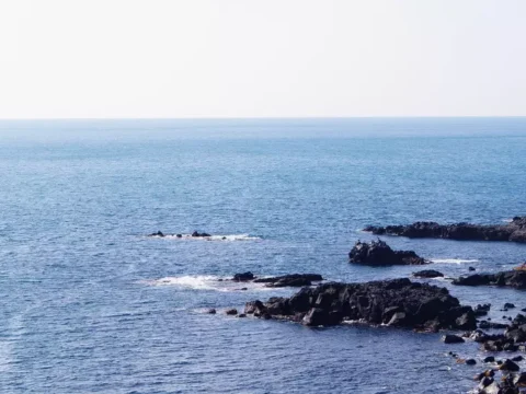 제주 해수욕장