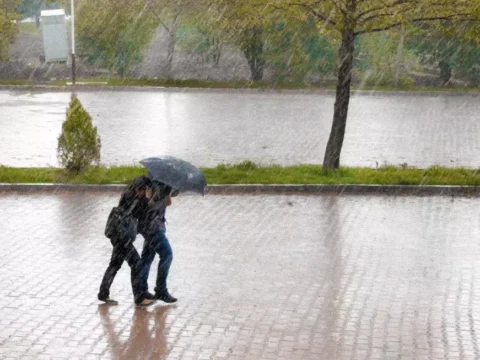 장마