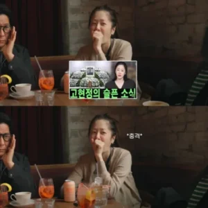 고현정, 사망설 해명 “죽지 않았다… 건강하게 회복 중”