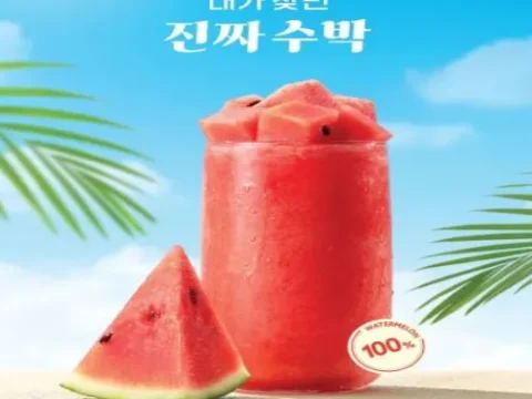 할리스 여름 신메뉴