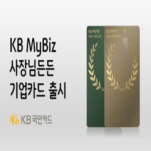 KB국민카드 사장님 든든 카드