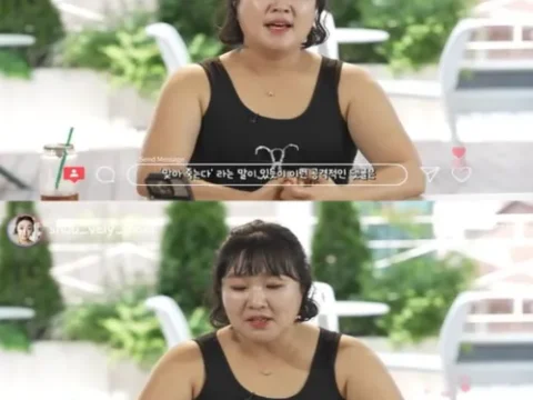 이수지 악플러