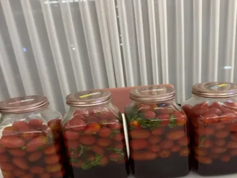 현아 용준형 부부 수제청