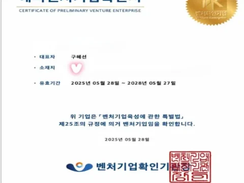 구혜선 벤처기업