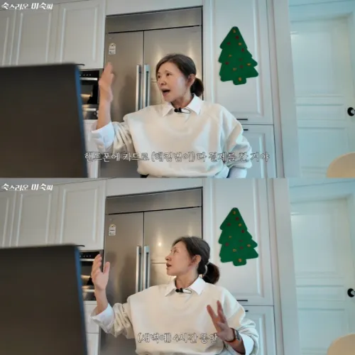 이미숙 피싱 피해