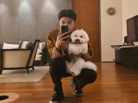 임영웅 웅탄절
